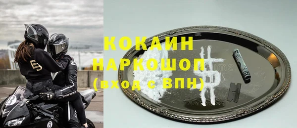 ECSTASY Алзамай