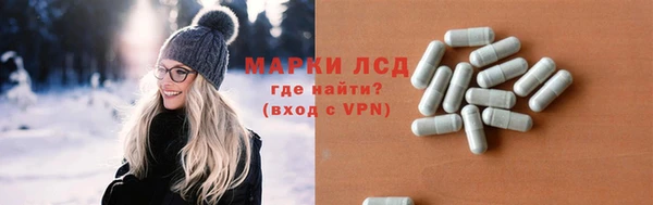 ECSTASY Алзамай