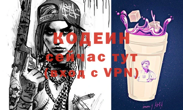 ECSTASY Алзамай