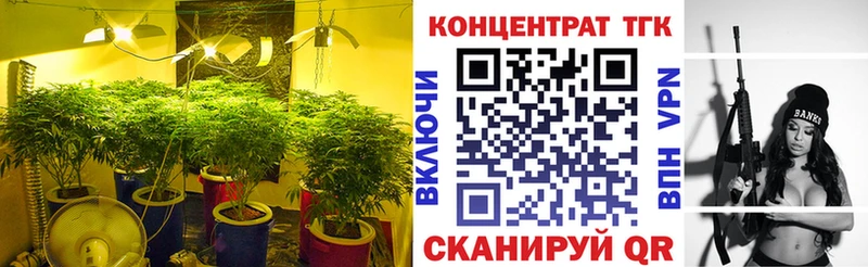 продажа наркотиков  Николаевск-на-Амуре  Дистиллят ТГК Wax 