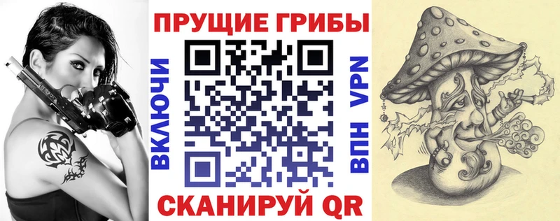 Галлюциногенные грибы Psilocybe  Николаевск-на-Амуре 